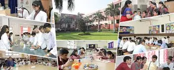 Vishwa Bharati Public School